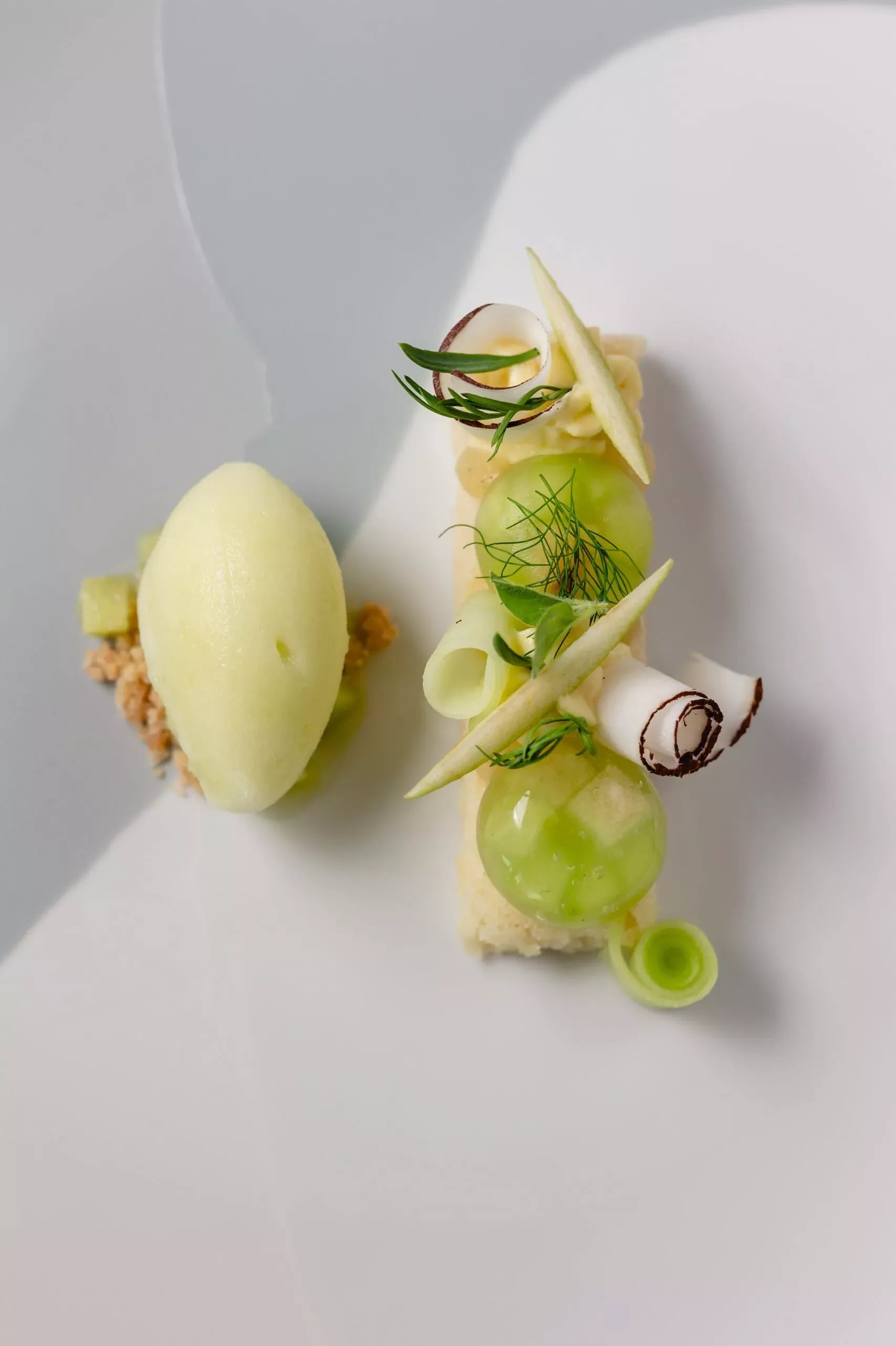 Alchemy of Flavours